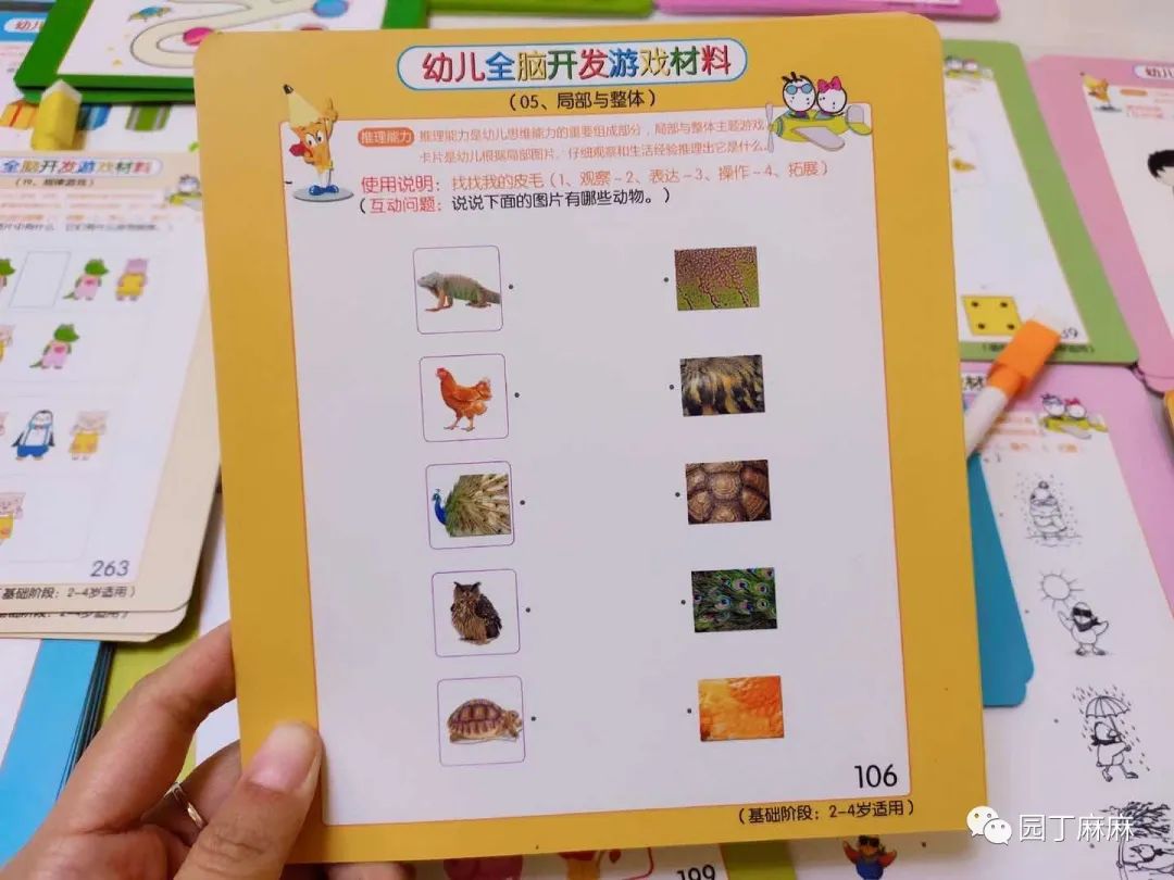 全脑开发游戏_脑力开发游戏_开发头脑的游戏